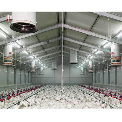 China prefabricated broiler poultry farm house design for sale