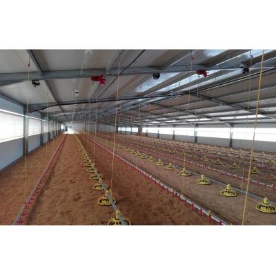 China Prefab steel frame poultry farm business plan,cow/goat shed,chicken egg poultry farm for sale