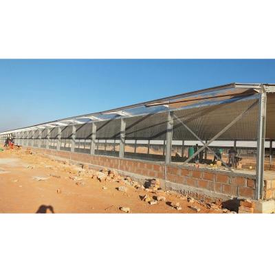 China goat farming chicken poultry breeding house poultry farm house design for sale