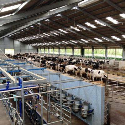 China low cost livestock panels goat farm house dairy farm shed hot sale for sale