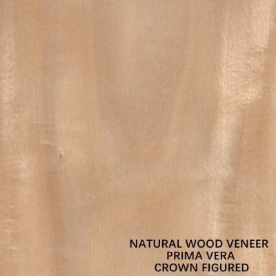 China Natürliche Prima Vera Wood Veneer Flat Cut Krone Soems schnitt dargestellten Korn-guten Preis für Platten und Stärke der Möbel-0.5mm zu verkaufen