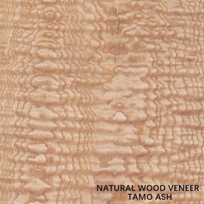 China Guter Preis natürlicher Stärke Tamo Ash Wood Veneers 0.5mm für Auto-Innen- und Musikinstrument-China-Großhandel zu verkaufen