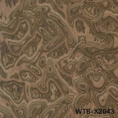 China Reconstituted Black Walnut Burl Wood Veneer WTB-X2043 0.15-0.55mm For Indoor Decorative Board for sale