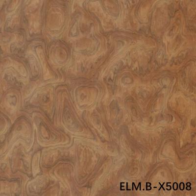 China Recon Wood Veneer Of Elm Burl ELM.B-X5008 Ring Grain Brown Color 0.13-0.35mm Espessura Para decoração de hotel à venda