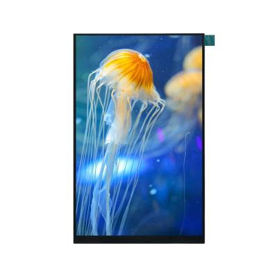 China LCD manufacturer 7 inch TFT LCD module 600*1024 MIPI/LVDS connect 7 inch IPS panel LCD display for sale