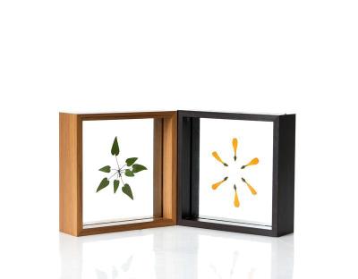 China Wholesale Custom Modern 6x8 Specimen Frame Paper-Cut Double Sided Clear Glass Shade Box Frame for sale