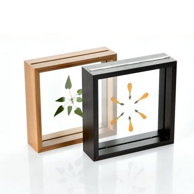 China New Arrived Fashionable MDF Double Factory Specimen Picture Picture Shade Glass Box Frame For Home Decor for sale