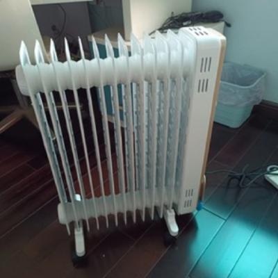 China Hot Sale Hotel Winter Movable With Hanger Oil Content Radiator Heater Heater Plate for sale