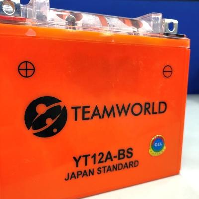 China Customized Logo Motorcycle Gel Battery - Teamworld, Own Brand, Customized Logo for sale