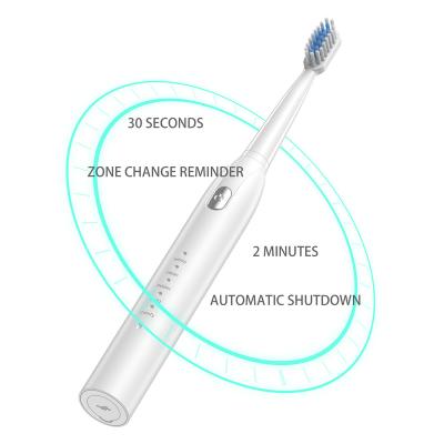 China Private Label Battery Operated 8 Rechargeable Automatic OEM Model Sonic Electric Toothbrush for sale