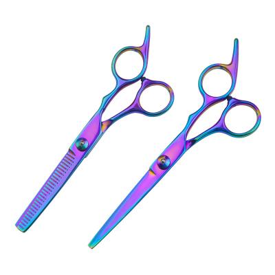 China Factory 6.0 Inch Colorful Steel Hair Thinning Scissors Styling Scissors Hair Cutting Scissors for sale