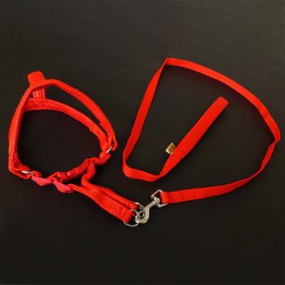 China Wholesale Dogs Hands Free Smart Collar And Dog Leash Pet Perros Chain Dog Leash With Thoughtful Processing for sale