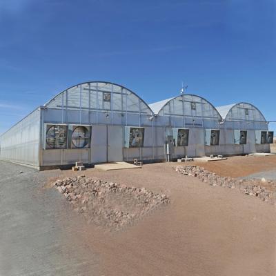 Chine Projet clés en main Serre Agricole de polycarbonate de serre chaude agricole de feuille intelligent à vendre