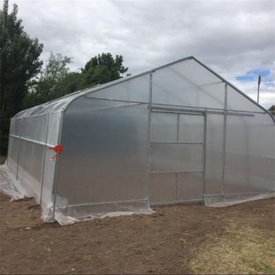 China Plastic Film High Tunnel Single Span Greenhouse Steel Frame 9x30m Te koop