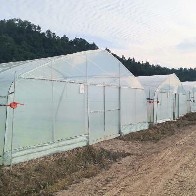 China Poly Tunnel Single Layer UV Protected Polyethylene Plastic Green Houses For Agriculture for sale