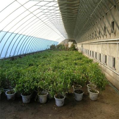 China High Insulation Garden Greenhouse With Customized Temperature Control And Size for sale