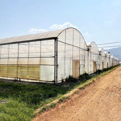 Китай Wind Resistant UV Net House Greenhouse Environmental Controller Multi-span Greenhouses продается