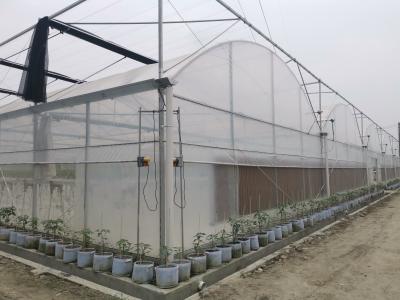 China Flower Multi-tunnel Po Film Multi-span Greenhouse With Modern Automatic Control Equipment for sale