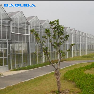 China O multi tipo comercial vidro de Venlo da estufa do período cobriu agrícola à venda