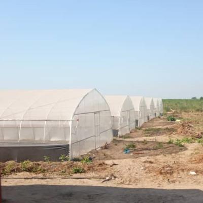 China Fruits Growing Agricultural Polyethylene Film Greenhouse Hot Dip Galvanized for sale