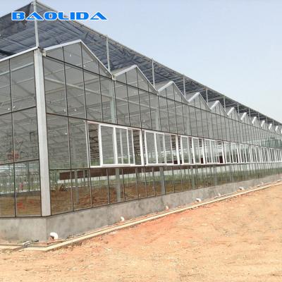 China O tipo gótico estrutura estável agrícola de Venlo da estufa montou facilmente à venda