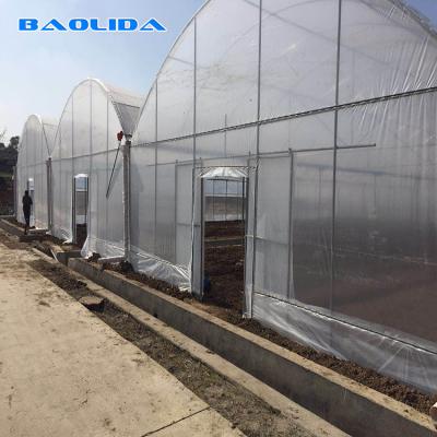 China Garden Commercial Multi Span Greenhouse For Vegetable Stable Performance for sale