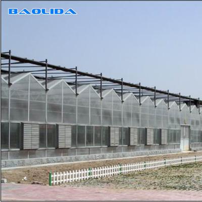 China Boa anti idade impermeável do crescimento agrícola da flor da estufa do estilo de Venlo à venda