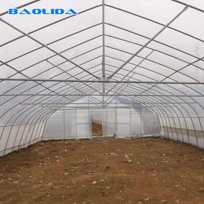 Chine Appui agricole commercial de emballage fort de passe-temps de serre chaude de Polytunnel à vendre