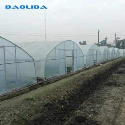 China Plants Planting Agriculture Standard Plastic Film 8m 60m Pe Film Single Span Greenhouse for sale