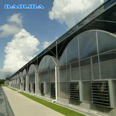 China Multi Polycarbonats-Blatt-Gewächshaus des Spannen-Tunnel-8mm für die Gartenarbeit zu verkaufen