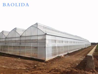 China Seedling Nursery Greenhouse Structure Galvanizing Steel Arched Frame Multi Span Greenhouse for sale