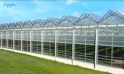 China Metallrahmen Polytunnel-Glas Venlo-Art Gewächshaus stabilisierte 60x90m zu verkaufen