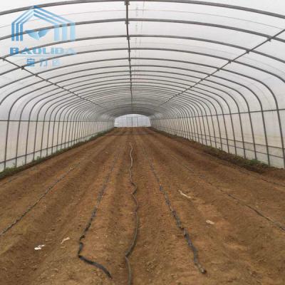 China Landwirtschaftliches einzelnes Spannen-Polycarbonats-Tunnel-Erdbeere-PET Gewächshaus zu verkaufen