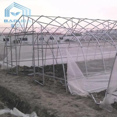 China Spanne Polytunnel Sri Lanka Colombo Steel Frame Greenhouse Single zu verkaufen