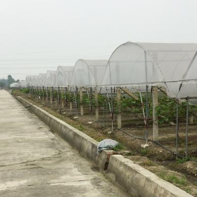 China Rain Shelter Tunnel Plastic Greenhouse 80mic 100 Micron 200micron for sale