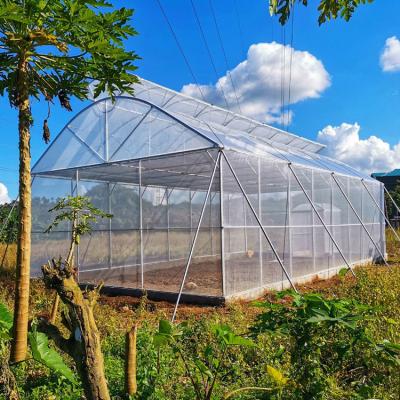 China Het hete Gegalvaniseerde Plastiek van het Pijpkader kweekt Tunnel Te koop