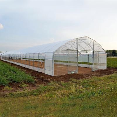 China Polycarbonate PC Board Greenhouse High Tunnel Plastic Film Side Ventilation Single-Span Greenhouse for sale