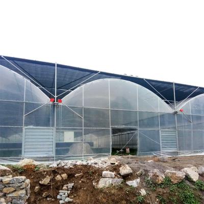 China Inner Shading System Multi Span Greenhouse Automatic Commercial For High Wind for sale