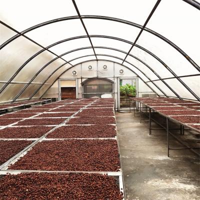 China Chiles del tablero del policarbonato que secan el secador solar del invernadero para las frutas de las verduras en venta