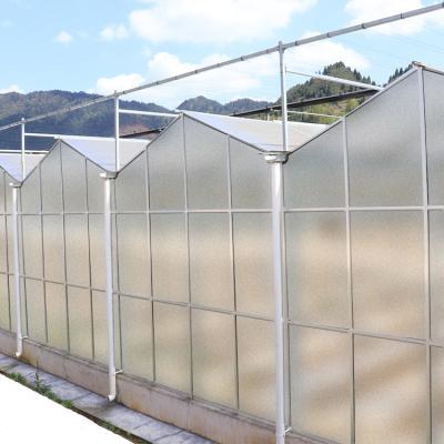 China Landwirtschafts-Film-klares Polycarbonats-Gewächshaus-transparente Vierkantstahl-Rahmen-Beschichtung zu verkaufen