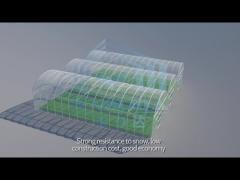 Transparent Film Multi Span Greenhouse Model Show Video