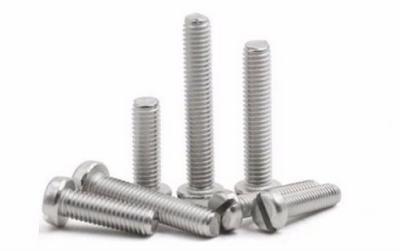 China Stainless Steel Slotted Cheese Head Screw for sale