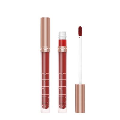 China Other Best Price Makeup Cosmetics High Quality Honey Language Velvet Matte Lip Gloss Tubes Matte for sale