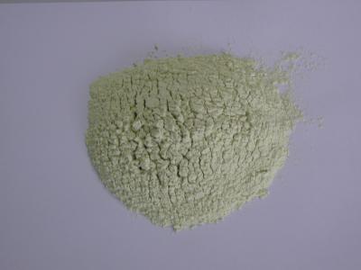 China Janpanese Style Pure Wasabi Powder , Wasabi Horseradish Powder Spicy Hot Flavor for sale