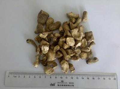 China HACCP-Standard trocknete Shiitake-Pilz-/Chinese-getrocknete Pilz-Bein-Würfel zu verkaufen