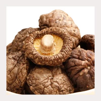 China Medium Texture Dried Shiitake Mushrooms With Dry Texture High Protein Nutrition for sale