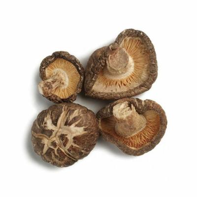 China Dry Shiitake Mushrooms Naturally Dried Shiitake Mushroom 1kg Bulk for sale