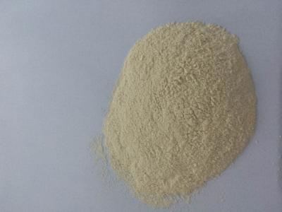 China 100 - 120 Mesh Dehydrated Vegetables White Onion Powder Natural Taste for sale