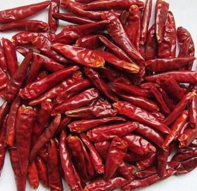 China Rote Farbe trocknete Grünen Pfeffers zerquetschte maximale 10% Feuchtigkeit der Paprika-Flocken-1 - 3mm zu verkaufen