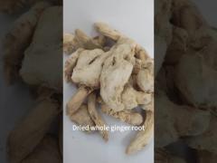 Dried Ginger